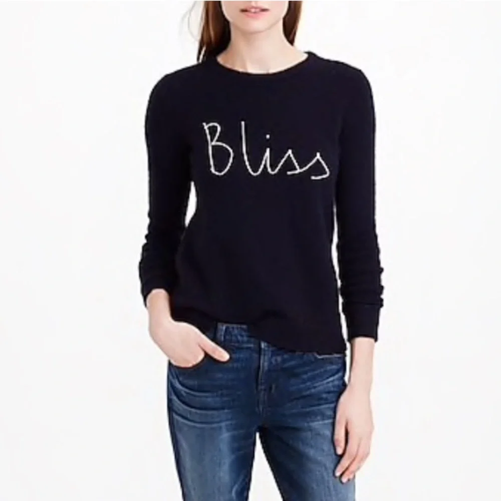 Hugo Guinness J. Crew Crewneck Bliss Sweater Small Wool Blue